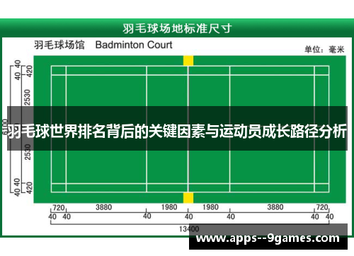 羽毛球世界排名背后的关键因素与运动员成长路径分析