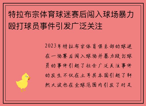 特拉布宗体育球迷赛后闯入球场暴力殴打球员事件引发广泛关注